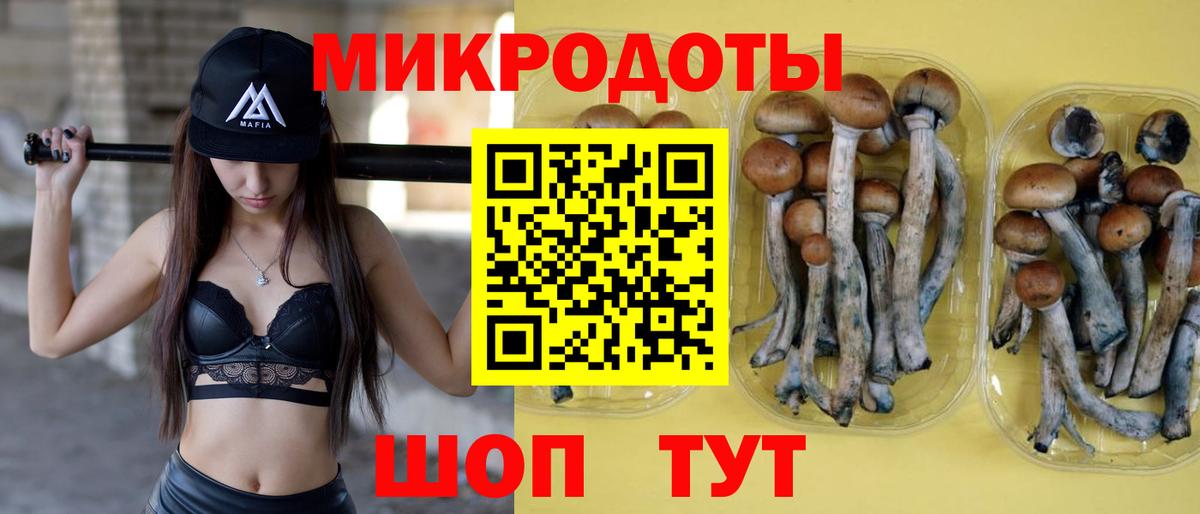 Михайловск  Псилоцибиновые грибы MAGIC MUSHROOMS  Вход с VPN 